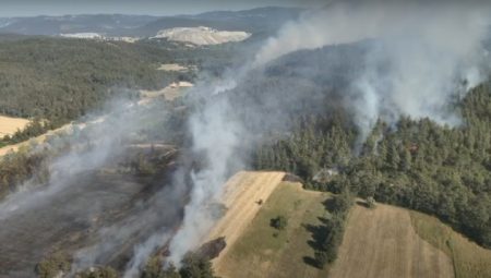 Bursa'da Başkan Bozbey'den 'anız' uyarısı