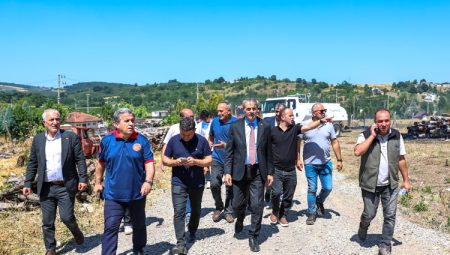 Sakarya Söğütlü’deki orman yangını kontrol altına alındı