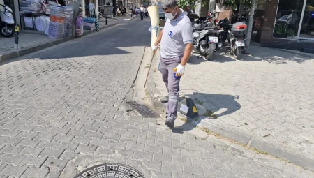 Çanakkale’de sinek alarmı – İGF HABER