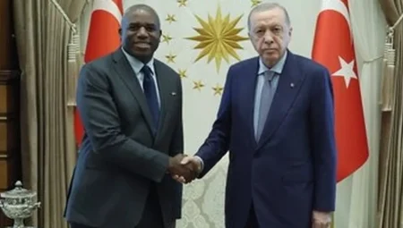 Cumhurbaşkanı Erdoğan, İngiltere Dışişleri Bakanı’nı kabul etti