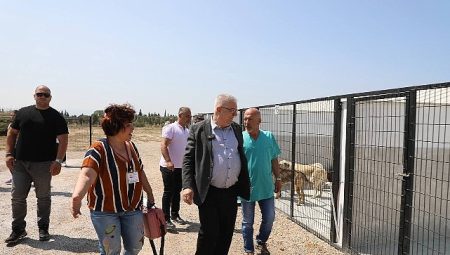 Edremit Belediyesi can dostlara sahip çıkıyor