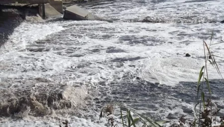 Ergene Nehri’ndeki kirlilik çevre felaketine dönüştü