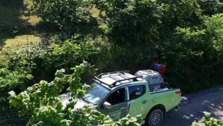 Kahverengi kokarca FINVER bahçelerinde takip altında