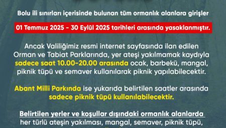 Bolu ormanlarına girişler 30 Eylül'e kadar yasaklandı!