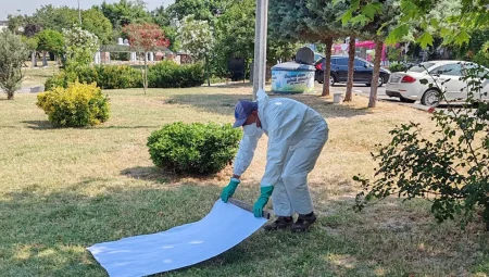 İstanbul Büyükşehir’den kene ile mücadele
