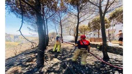 İzmir İtfaiyesi 48 saatte 227 yangına müdahale etti