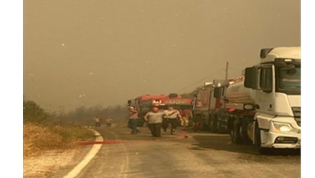 İzmir itfaiyesi tüm gücüyle sahada