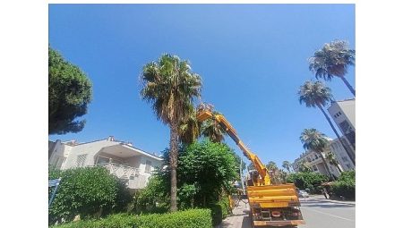 Kemer’de yeşil alanlarda bakım çalışmaları