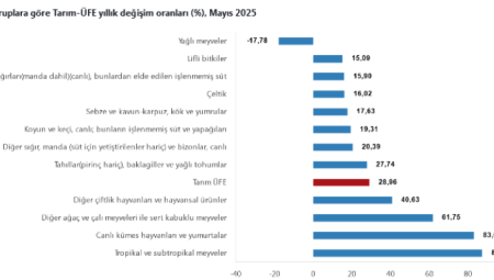 Tarım-ÜFE verileri açıklandı… Tropikal meyveler yine rekor kırdı