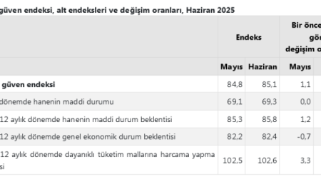 Tüketici 'Güven'i Haziran'da yükseldi