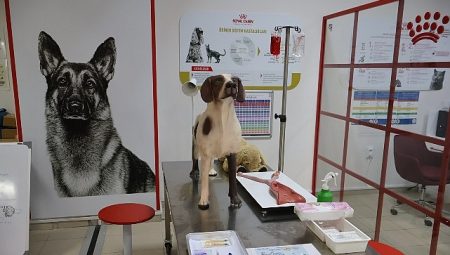 Uludağ Üniversitesi Klinik Beceri Laboratuvarı Açıldı
