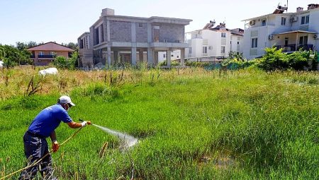 Vektörel mücadele hem karadan hem denizden yürütülüyor