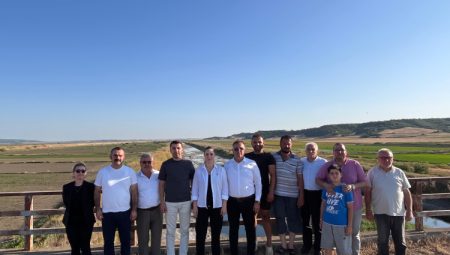 Edirne’de çeltik üreticileri alarm veriyor! Ergene Nehri kurudu, tarım tehdit altında