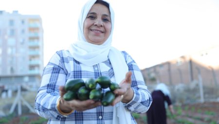 Mardin Artuklu Kent Kadın Bostanları'nda ilk hasat sevinci