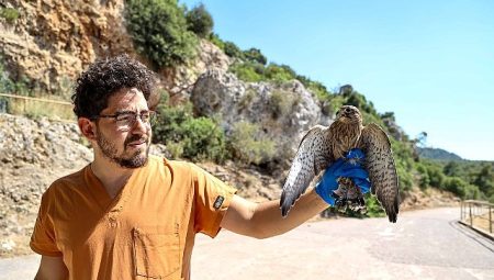 Yetişkinliğe erişen kerkenez yavruları doğal ortamlarına bırakıldı