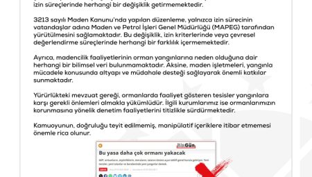 Ormanlarla ilgili 'torba yasa' iddiaları yalanlandı