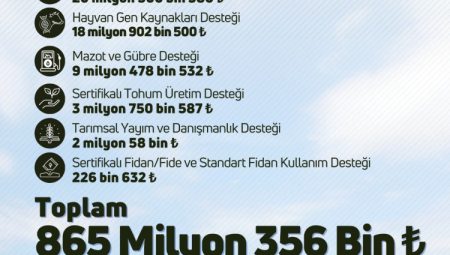 Çiftçilere 865 milyon TL'lik destek ödemesi hesaplarda