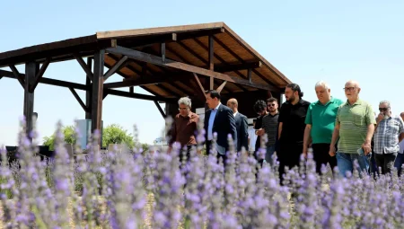 Konya Karatay Lavanta Bahçeleri’nde görsel şölen heyecanı