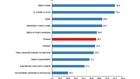 Lisans mezunlarında kayıtlı istihdam oranı 2024 yılında yüzde 75,0 olarak gerçekleşti