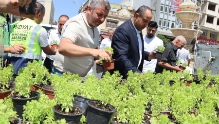 Mardin Midyat’ta fesleğen ve reyhan dağıtıldı