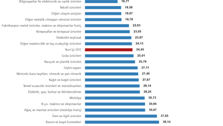 Haziran'da Yİ-ÜFE yıllık yüzde 24,45, aylık yüzde 2,46 arttı… Yİ-ÜFE'de su dağıtımı revaçta