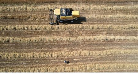 Tarımda verimlilik Büyükşehir’le artıyor