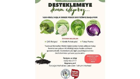 Yüzde 50 Hibelı Kışlık Sebze Fidesi Başvuruları Başlıyor