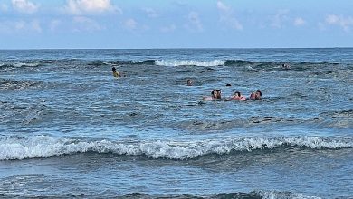 179 canı ölümün kıyısından aldılar