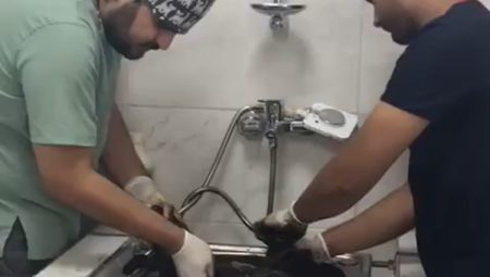 Zifte bulanmıştı, rehabilitasyonla yaşama tutundu
