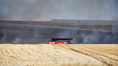 3 günde 70 hektarlık alan kül oldu