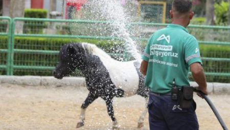 Mersin Tarsus Doğa Parkı’nda yaz tedbirleri