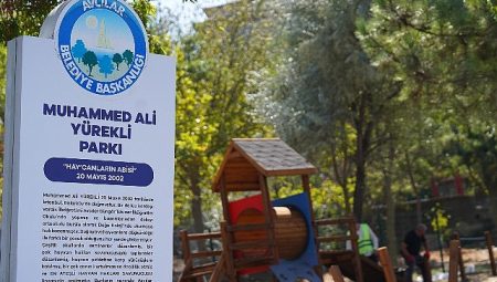 Avcılar’ın tek köpek oyun parkı yenilendi