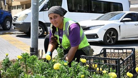 Başkan Çerçioğlu’ndan Didim’de çevre ve peyzaj düzenlemesi