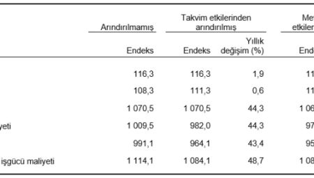 İşgücü girdi endeksleri ikinci çeyrekte yükseldi, sanayi sektörü geriledi