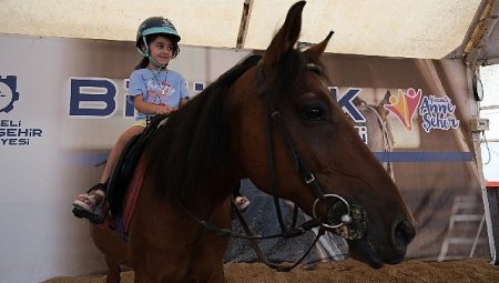 Binicilik eğitimlerinde yeni dönem kayıtları başladı