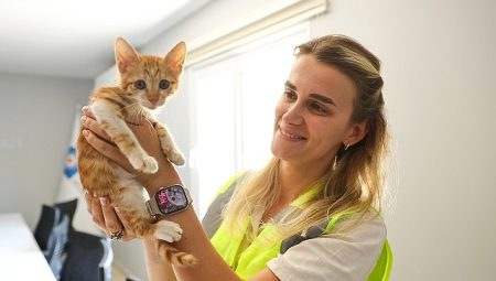 Büyükşehir ekipleri sazlıkların arasına düşen yavru kediye can oldu