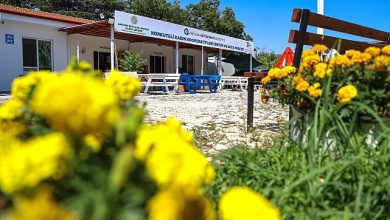Büyükşehir’den kadınlara üretim desteği