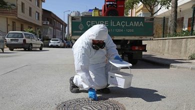Çankaya Köşe Bucak İlaçlanıyor
