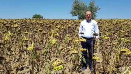 CHP Tekirdağ Milletvekili Aygun’dan kuraklık için yasa teklifi