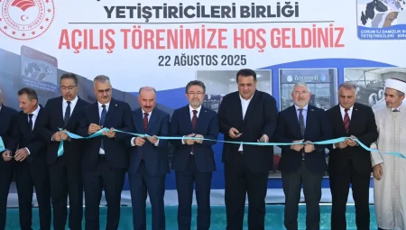 Çorum’da hayvancılığa güçlü destek – İGF HABER