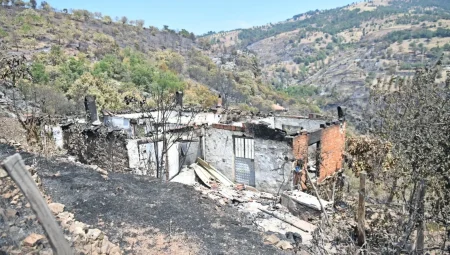 Deprem ve Doğal Afet Komisyonu’ndan Manisa Akhisar’da inceleme