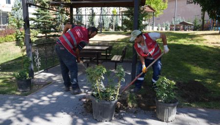 Ankara Keçiören'de park ve bahçelere estetik dokunuş
