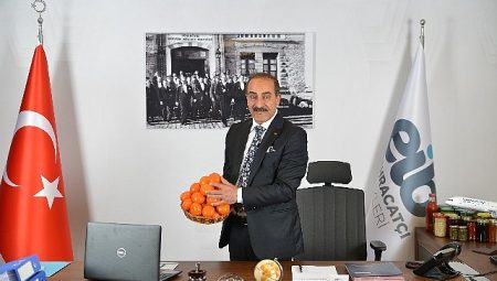 Ege Bölgesi Narenciye Rekoltesi 449 bin ton