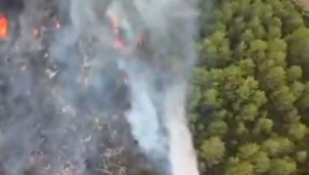 Muğla Seydikemer'de orman yangını
