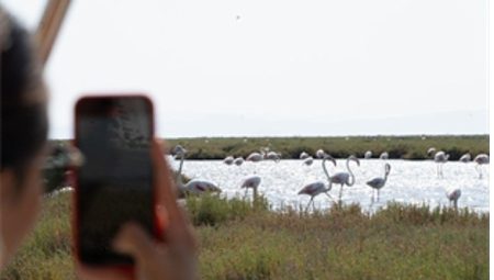 Flamingo Yolu turları başladı