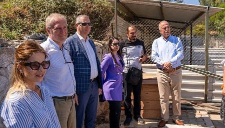 Gaziemir Belediyesi’nden can dostlara yeni yuva