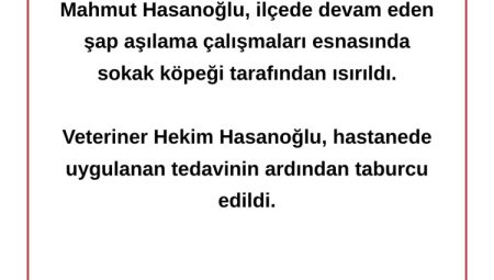 Bursa'da veteriner hekim sokak köpeği tarafından ısırıldı!