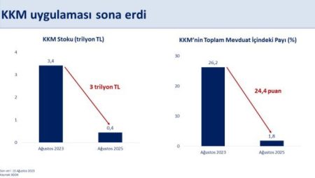 Bakan Şimşek: TL'ye güven bir adım daha arttı