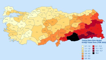 Trakya akraba evliliklerinde rekor düşüklük