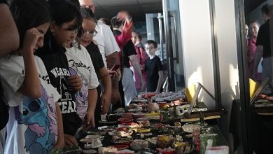‘Hatırla Lüleburgaz’ projesi tamamlandı